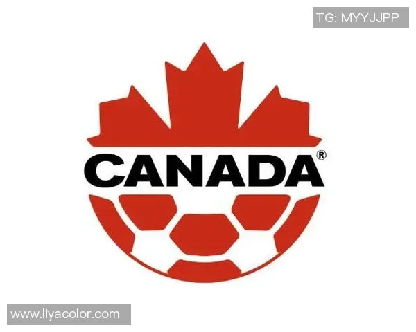 加拿大足球历史最佳球员排行榜揭晓 突破性表现与未来之星齐聚一堂