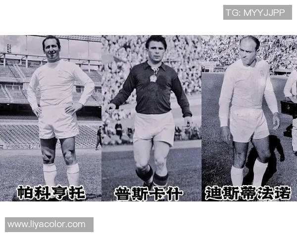 足球球星精准定位与战术角色分析探索球员在现代足球中的多维价值 足球球星精准定位与战术角色分析探索球员在现代足球中的多维价值