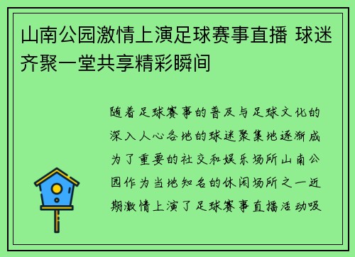 山南公园激情上演足球赛事直播 球迷齐聚一堂共享精彩瞬间